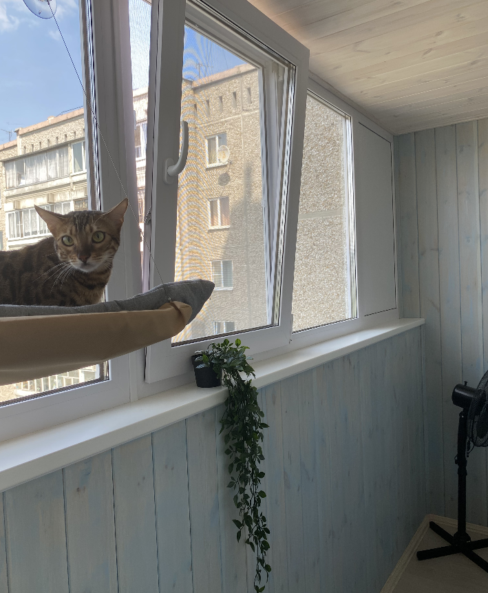 Лоджии в квартире