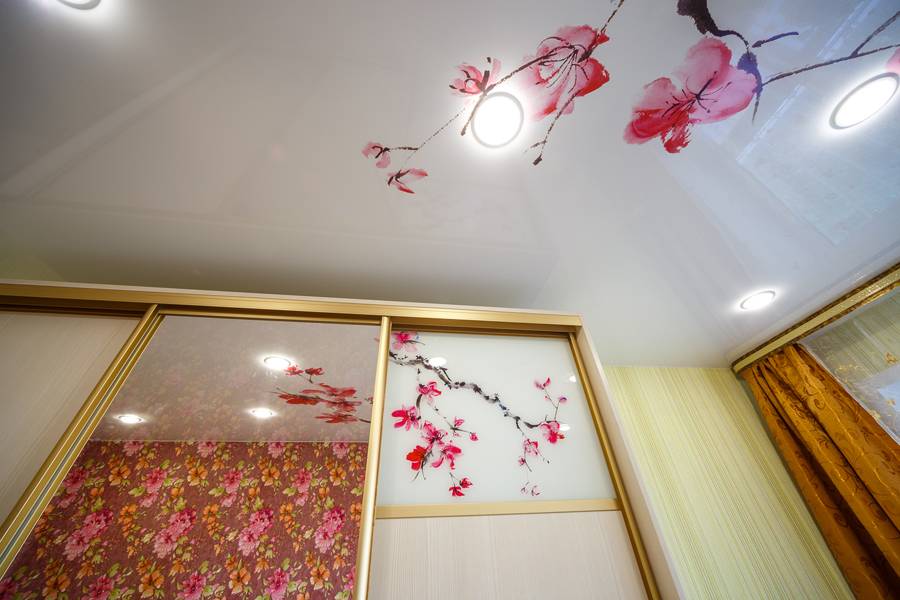 Шкаф-купе "Сакура" Шкаф-купе "Сакура"